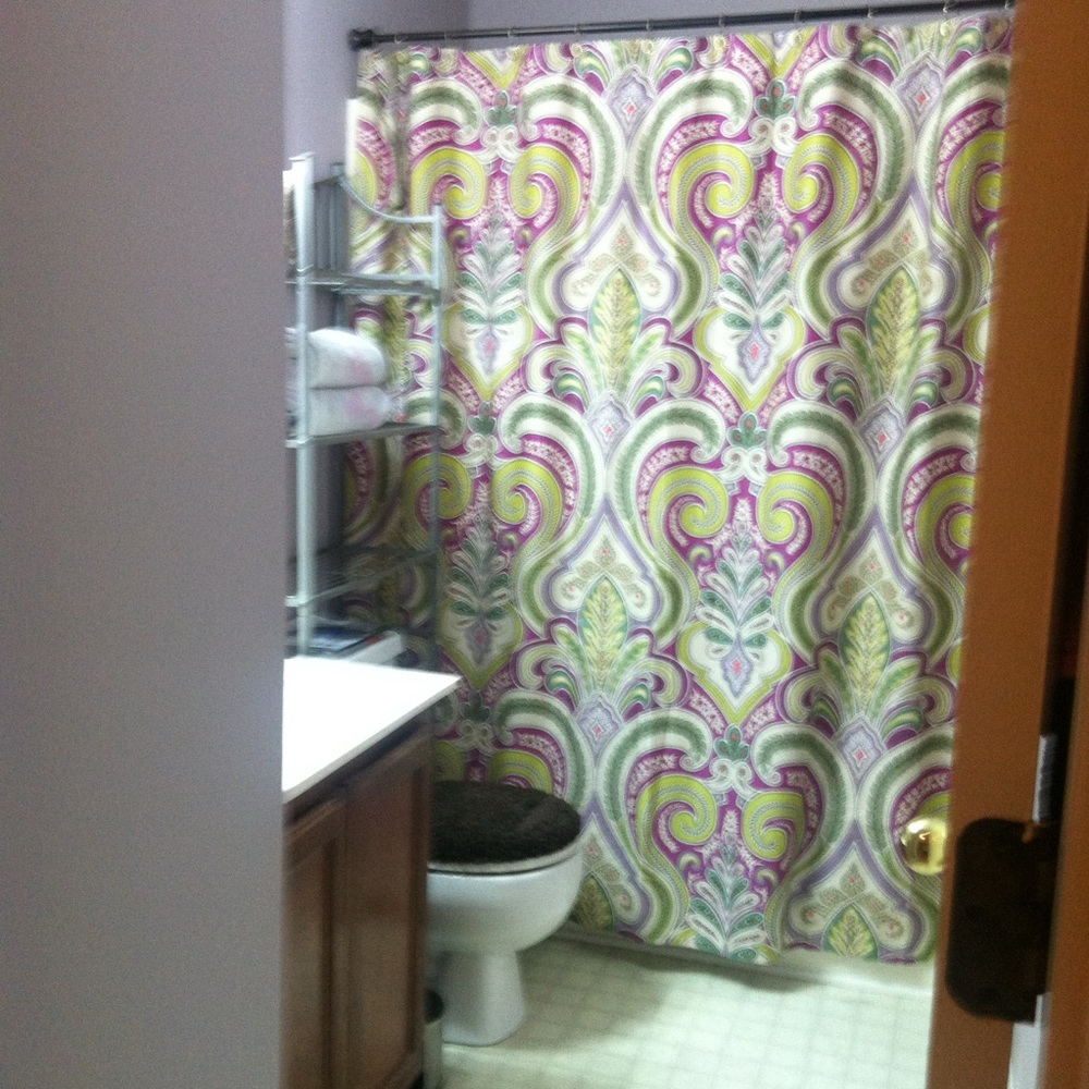 Echo Multicolor Paisley Shower Curtain